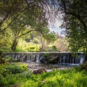 Las Navas de la Concepción. Rutas de senderismo por la Ribera del Ciudadeja.