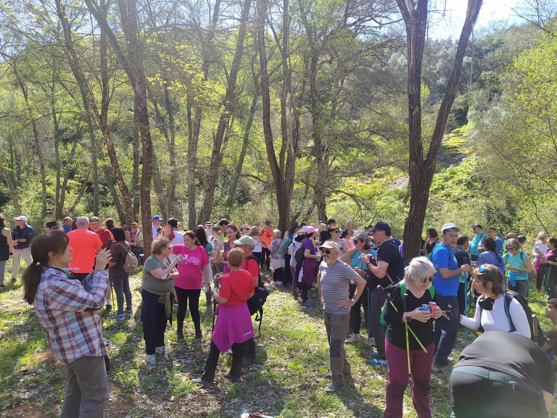 Las Navas de la Concepción. Rutas de senderismo por la Ribera del Ciudadeja. - Imagen 2