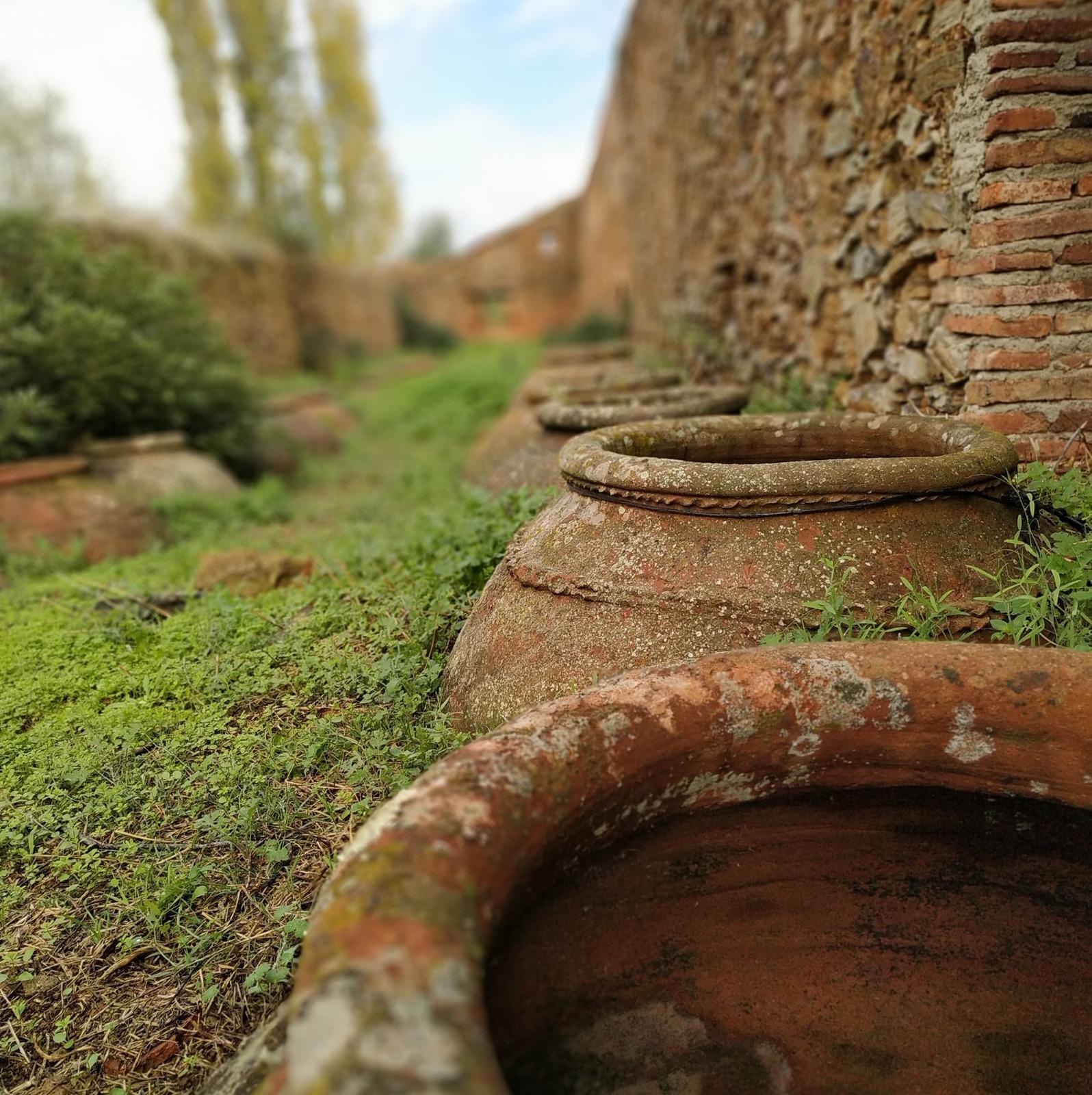 Las Navas de la Concepción. El Lagar – Historia viva entre tinajas, tradición y devoción.
